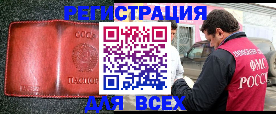 прописка в Вязьме